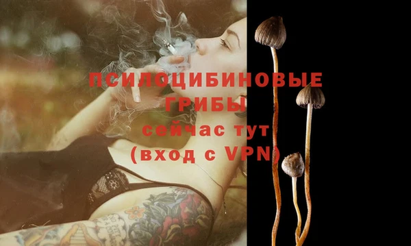 ешки Верхний Тагил