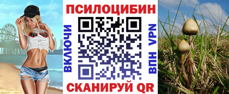 blacksprut как зайти Новая Усмань Псилоцибиновые грибы MAGIC MUSHROOMS что такое